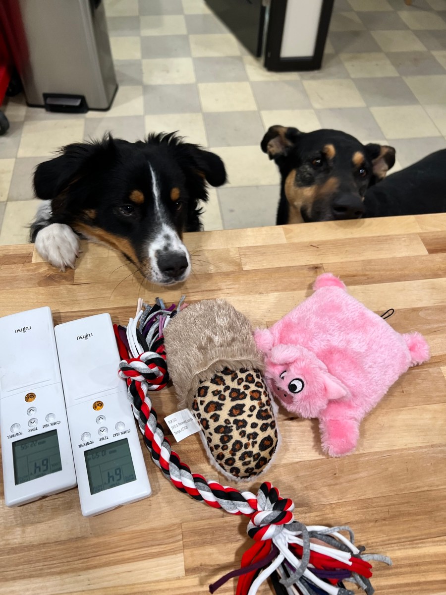 Our Guest and Family of friends! Blood, Sweat & Shears Salon & Spa